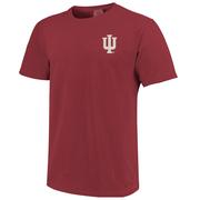 Indiana Image One Squirrels on Campus Comfort Colors Tee